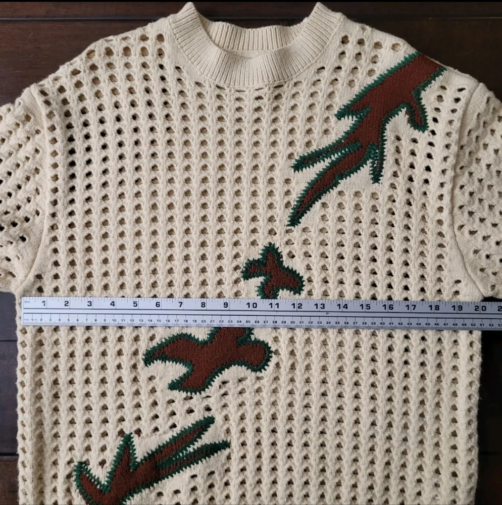 Zara Women Medium Cream Open Knit Embroidered Sweater Crochet - Picture 4 of 5